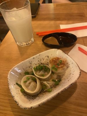 Vegan gyoza  at Paitan Ramen and Gyoza House in Istanbul