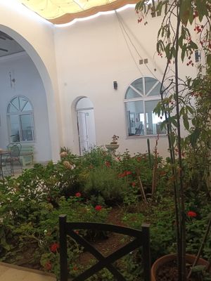  at Chakaruna in Salta