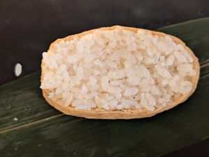 'Mushroom' Inari at Rainbow Sushi  in San Marino City