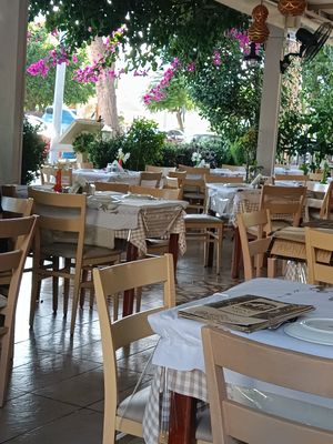 Outside area at Ali Restaurant in Kos