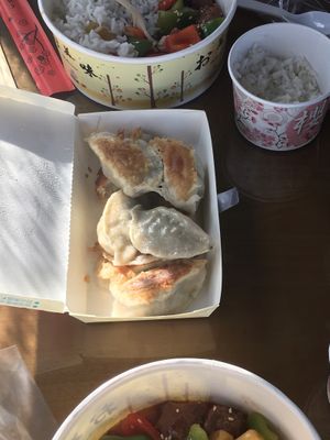 Crispy vegan dumplings  at Naturalis Te in Santiago De Los Caballeros