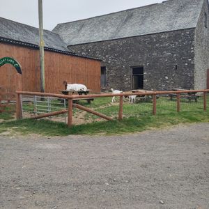  at The Barn Restaurant and Goat Garden Cafe in Lynton