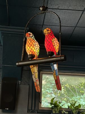   at Wish Tree in North Adams