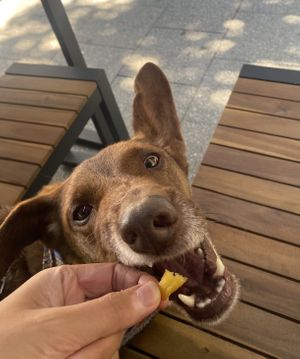 Pommes 👌🏼  at Liners Food in Hannover