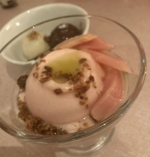 Rhubarb sorbet   at Oak in Bath