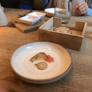 Starter  at Oak in Bath