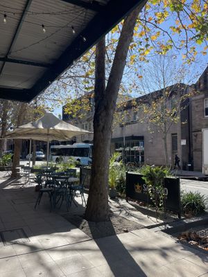   at Gallon in Pyrmont