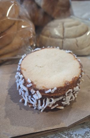 ¡Alfajor vegano! 💖✨️

Si pueden, vengan a probarlos pues no encuentras dulce de leche o alfajores veganos en todos lados 🌿✨️ at Corazón de Concha in San Andres Cholula