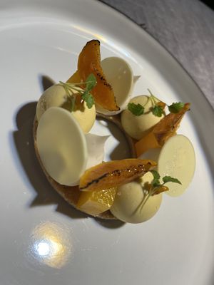 Albicoccola  at Soul Kitchen - Creatività Vegetale in Turin