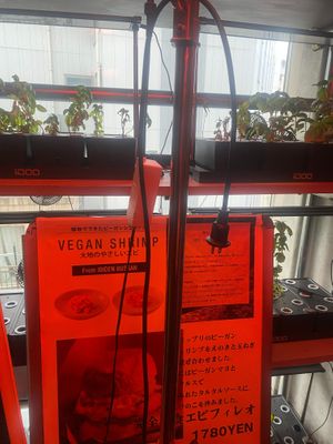 hydroponically grown ingredients at NEOShinjuku Atsushi in Tokyo