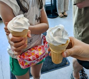 Vegan soft serve! at Odd Burger in Ottawa
