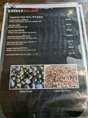 Veg rice menu at Borneo Delight in Kuching