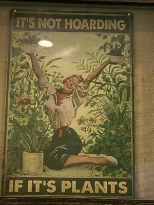   at Othello's in Woodland Hills