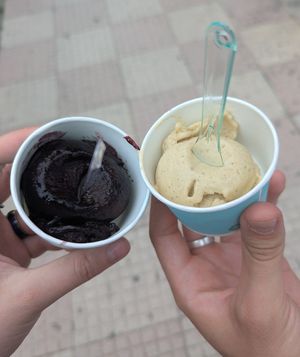 Mulberry and pistachio at M'kanda in Shkoder