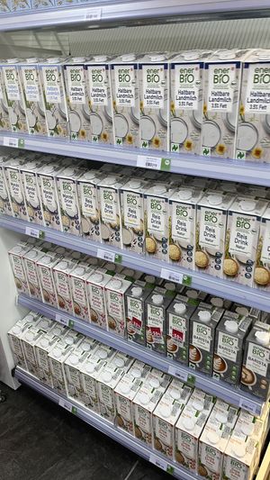   at Rossmann & Lala in Shkoder