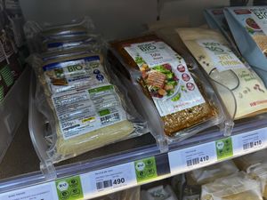   at Rossmann & Lala in Shkoder