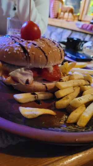 Vegan burger, vegetable patty at Tara in Zabljak