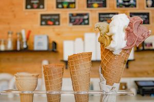  at ArteSana Gelat in Valencia