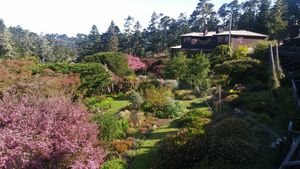 The view from our room in May. at The Stanford Inn by the Sea in Mendocino