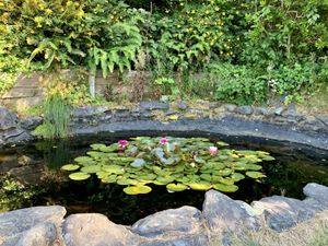   at The Stanford Inn by the Sea in Mendocino
