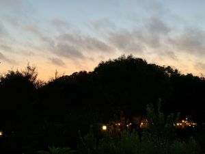   at The Stanford Inn by the Sea in Mendocino