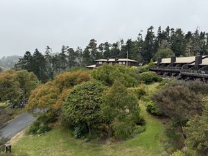 The gardens  at The Stanford Inn by the Sea in Mendocino