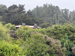 Forest   at The Stanford Inn by the Sea in Mendocino