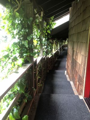   at The Stanford Inn by the Sea in Mendocino