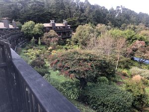   at The Stanford Inn by the Sea in Mendocino