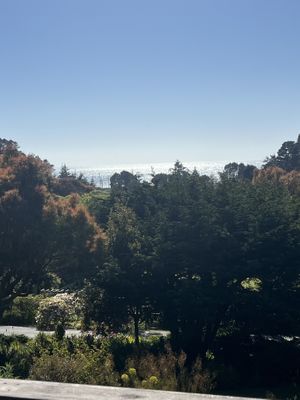 View from balcony    at The Stanford Inn by the Sea in Mendocino