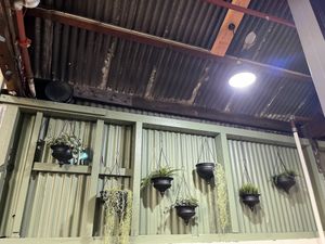 Interior  at The Mill Coffee Shop in Ipswich