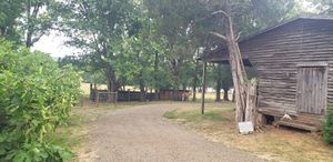 Come see their sheep and cow! at Broken Spoke Farm in Hillsborough