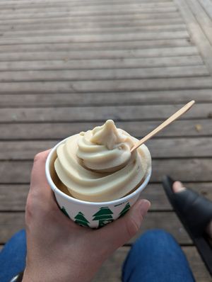 Vegan apple and salted caramel swirl at Broken Spoke Farm in Hillsborough