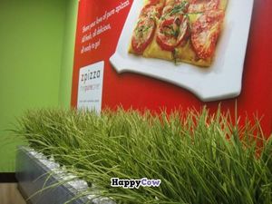 Zpizza: Fresh, Healthy, Vegan, Gluten-Free at zpizza in Dubai