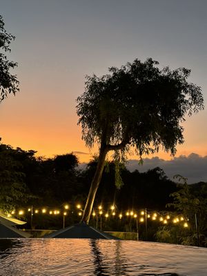 View  at Deep Roots Dive & Yoga Resort in Penida Island