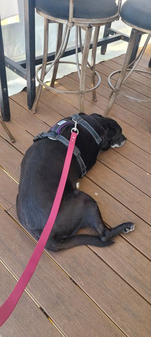 Kiz loved it at Ocean 193 in Provincetown