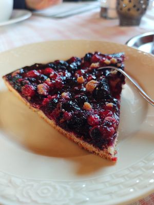 Hausgemachte vegane Johannisbeer-Heidelbeer-Tarte at Dengkofen 3 in Mengkofen