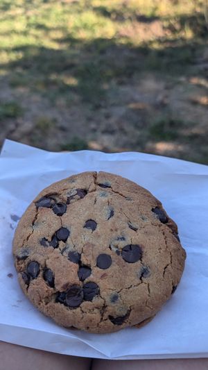 Vegan chocolate chip and hazelnut cookie at Wild Flour Bread in Freestone