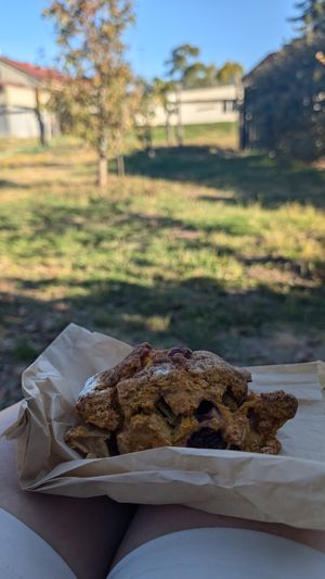 Pumpkin apple and cranberry scone at Wild Flour Bread in Freestone