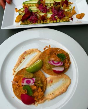 Starter at Waanzinnig Tilburg in Tilburg