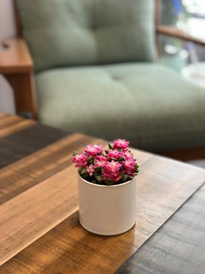 Cozy at Grazie's Kitchen - Vegan Bakery and Cafe in Da Nang