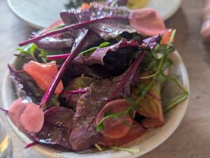 Side salad at Riverhouse Restaurant in Richmond Upon Thames