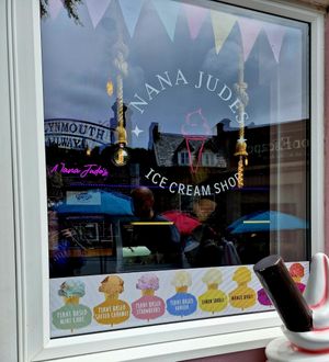 Nana judes ice cream, vegan flavours at Nana Jude's Ice Cream Shop in Lynton