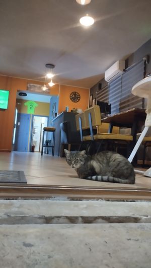  at Frank Burger Bar in Crete