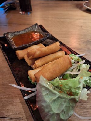 Frühlingsrollen 🌱 at Tokymon Restaurant in Speyer