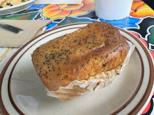   at Vigilante Coffee in Oceanside