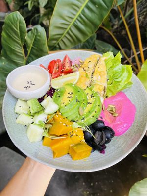 Humus Bowl   at Artisan Cafe & Eatery in Nha Trang