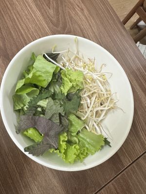   at Katze in Hanoi