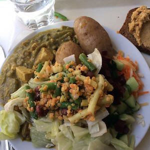 Green tofu curry at UniCafe Kaivopiha in Helsinki