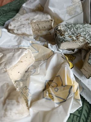 Trio d'affinés végétaux 🧀🌱👌 at ASRAYA in Aubenas